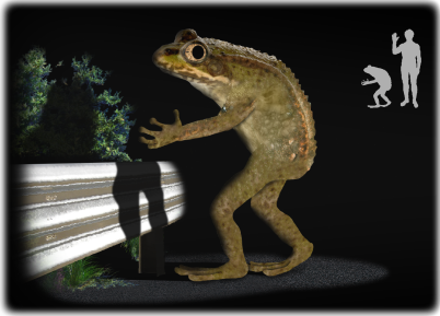 loveland frogman illustration